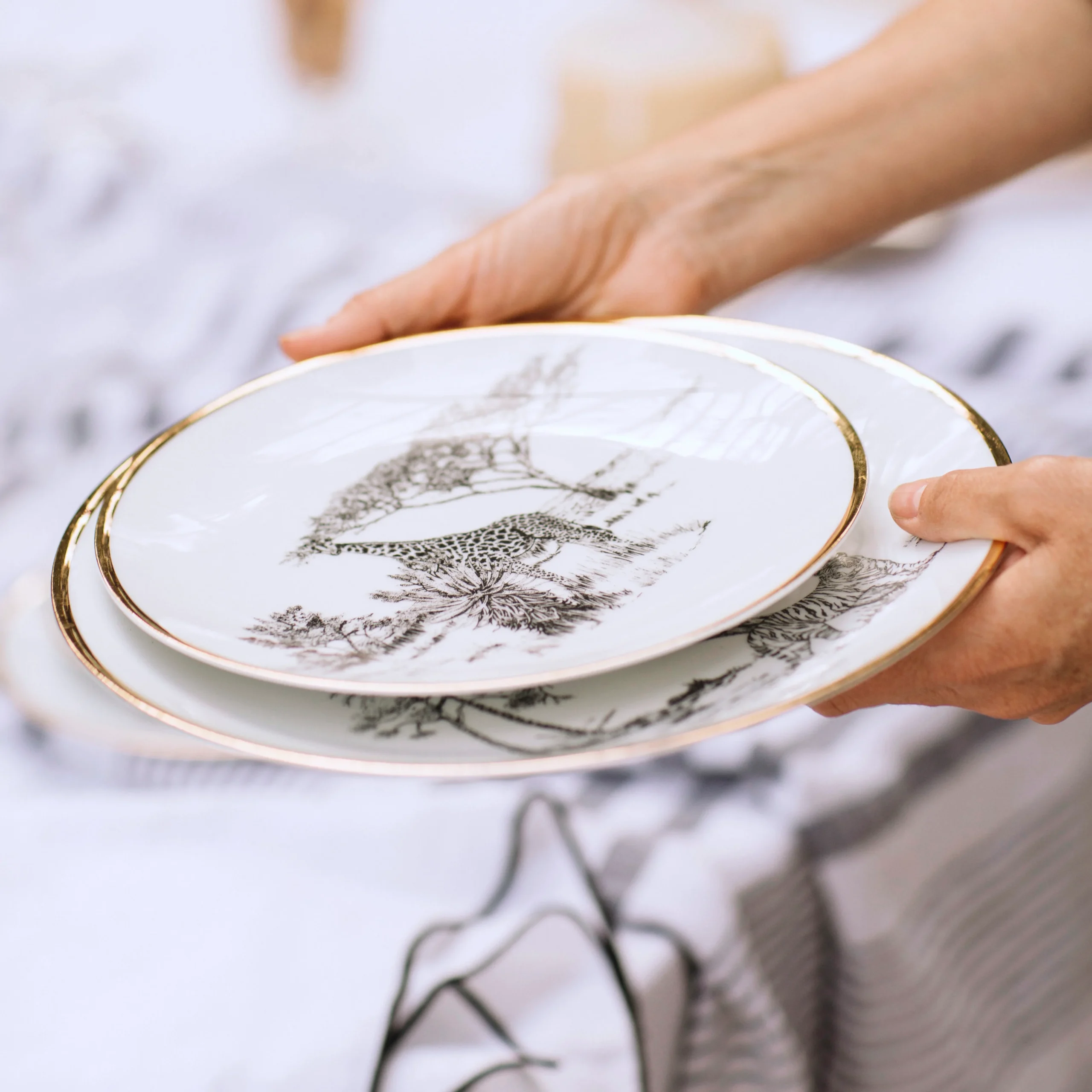 Plato de postre · Porcelana de Limoges · Shamba jirafa